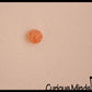 Small 1.5" Confetti Bead Ball Set with Thick Gel.  1 Set