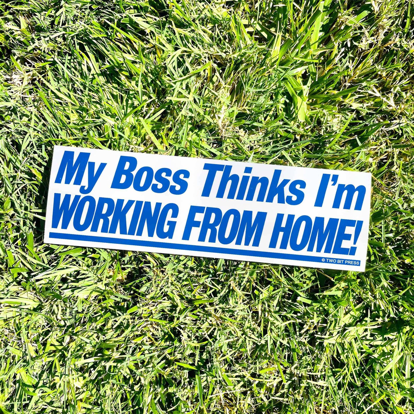 Working from Home Bumper Sticker