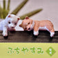 Playful Hanging Shiba Dog Blind Box