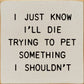 SAWDUST CITY - I Just Know I'll Die Trying To Pet Something I Shouldn't