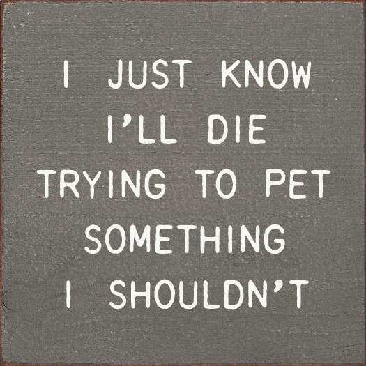 SAWDUST CITY - I Just Know I'll Die Trying To Pet Something I Shouldn't