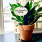 I'm Literally Dying Flower Pot Plant Stake  