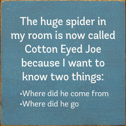 SAWDUST CITY - The Huge Spider In My Room Is Now Called Cotton Eyed Joe