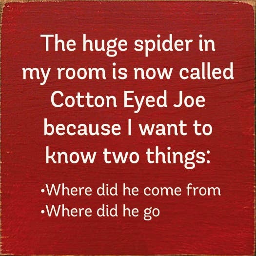 SAWDUST CITY - The Huge Spider In My Room Is Now Called Cotton Eyed Joe