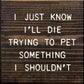 SAWDUST CITY - I Just Know I'll Die Trying To Pet Something I Shouldn't