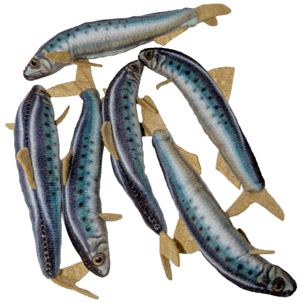 Can O' Sardines | Fish Stuffed Animal Plush w/Funny Jokes