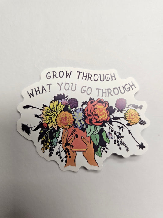 Grow through what you go through