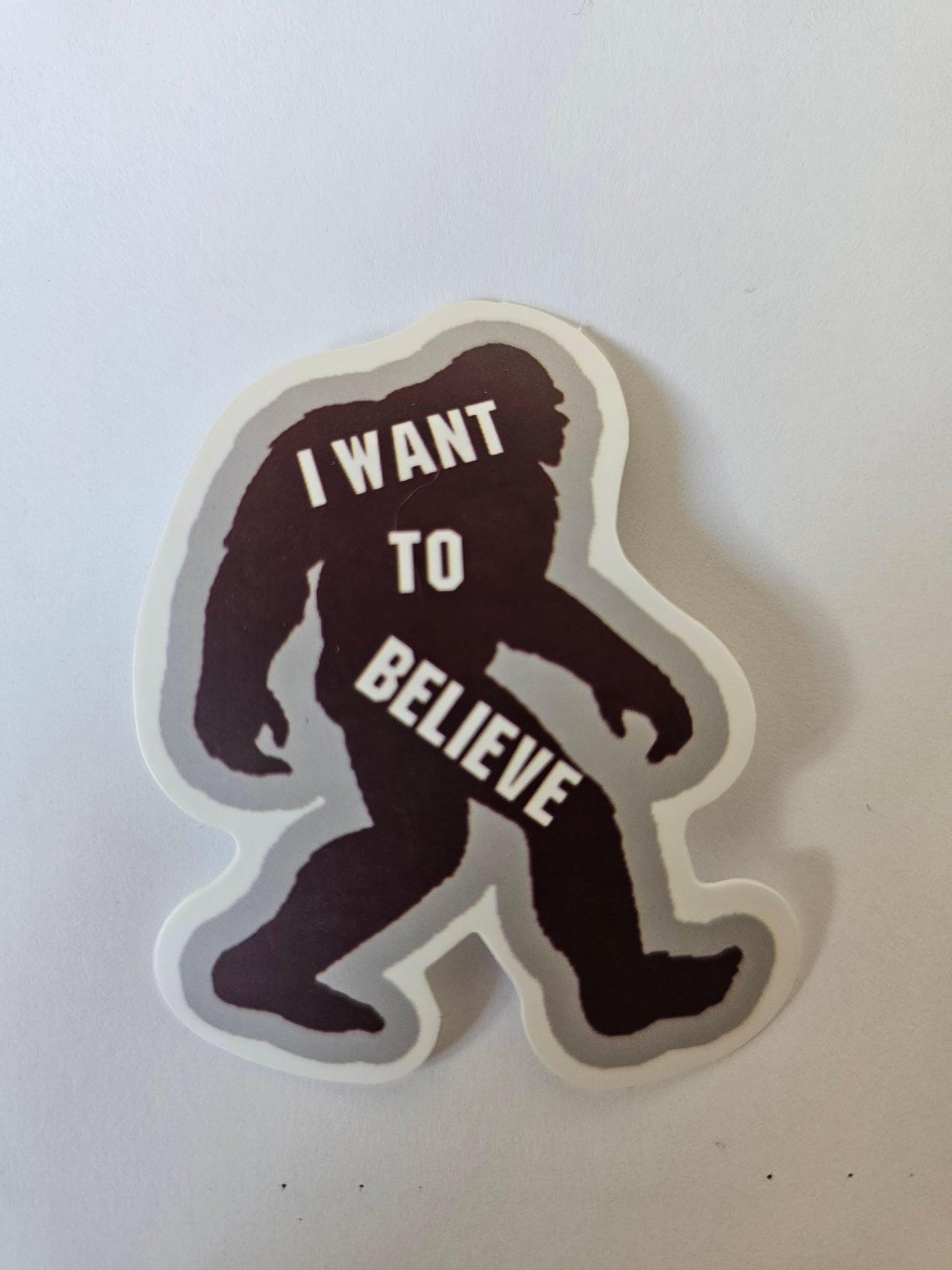I Want to Believe Sticker
