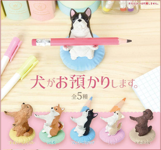 Dog Pen Holder Blind Box