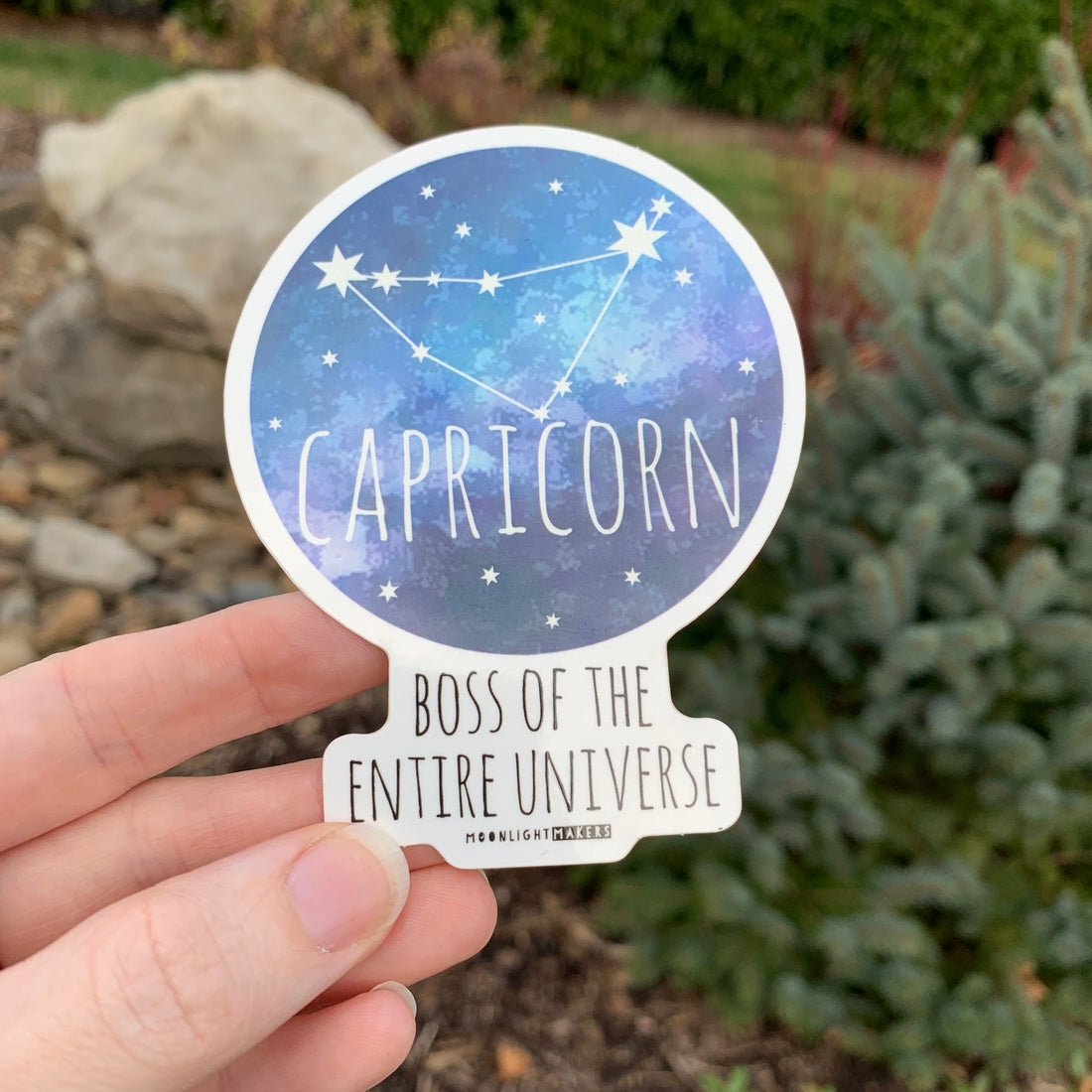 Capricorn - Boss Of the Entire Universe - Sticker