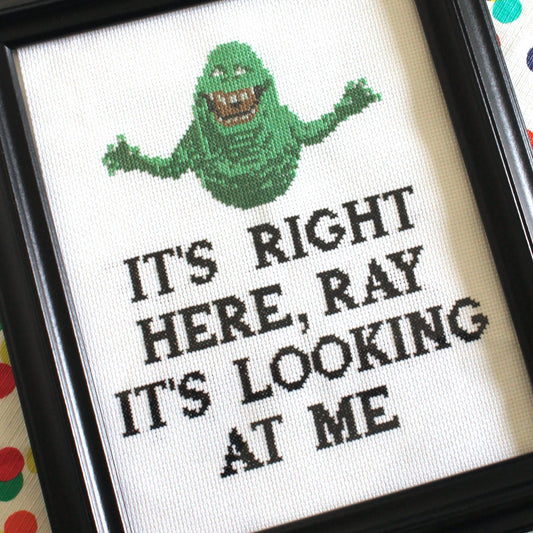 Ghostbusters It’s Looking At Me Stitch Kit