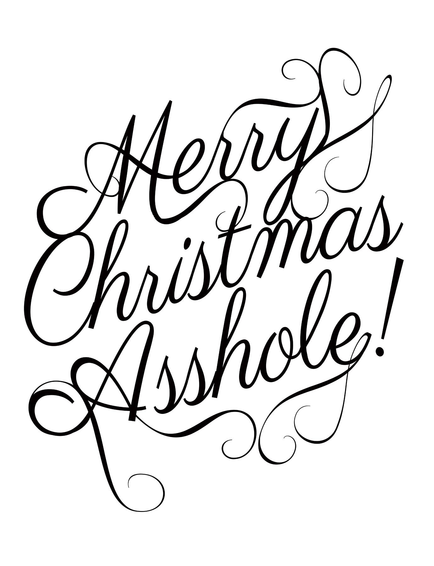 Merry Christmas A-hole Kitchen Towel