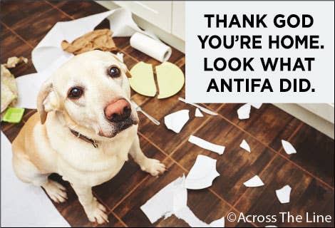MAGNET: Thank God You're home, Look at what Antifa did!