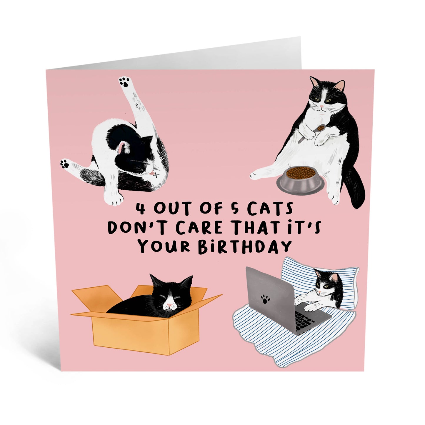 4 Out of 5 Cats Card