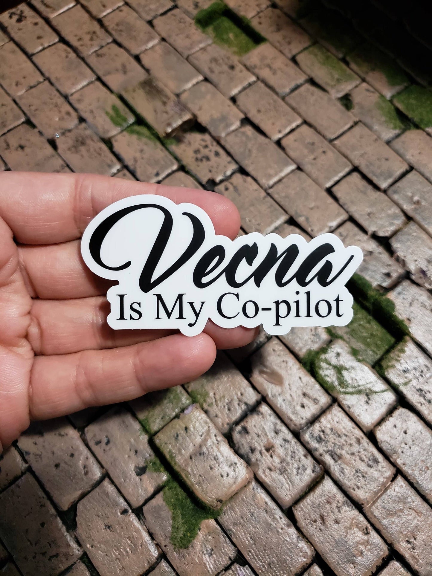 Vinyl Sticker 3"- Vecna Is My Co-pilot - Waterbottle Laptop