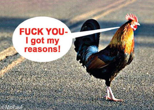 Magnet-Fuck you - I got my reasons! (chicken crossing road)
