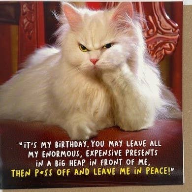 Leave My Presents -  Birthday Greeting Card