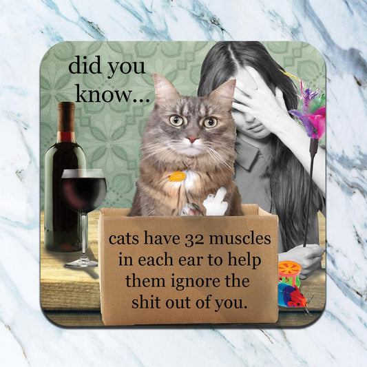 Cats have 32 Muscles - Set of 4 Coasters