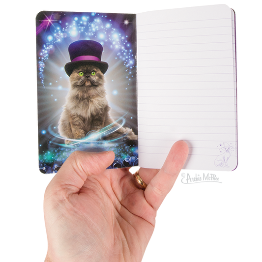 Magic Cats Pocket Notebook Set