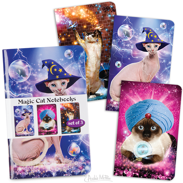 Magic Cats Pocket Notebook Set
