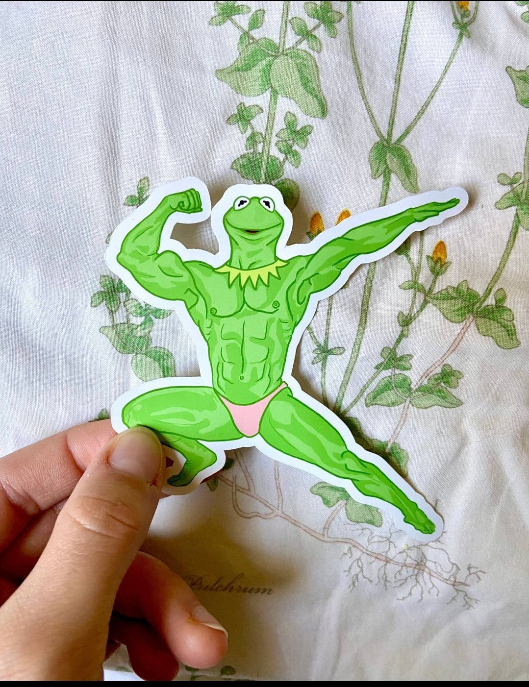 Buff Kermit the Frog Sticker - your choice of pose
