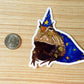 Wizard Frog Sticker