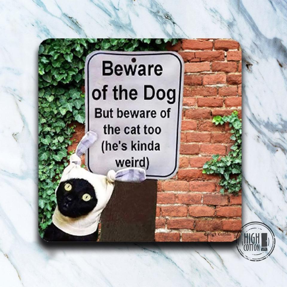 Beware of The Dog and the Cat - Set of 4 Coasters