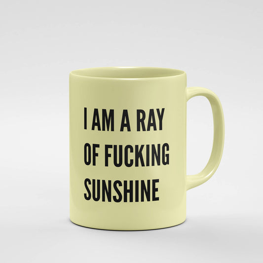 I Am A Ray Of Fucking Sunshine - Mug